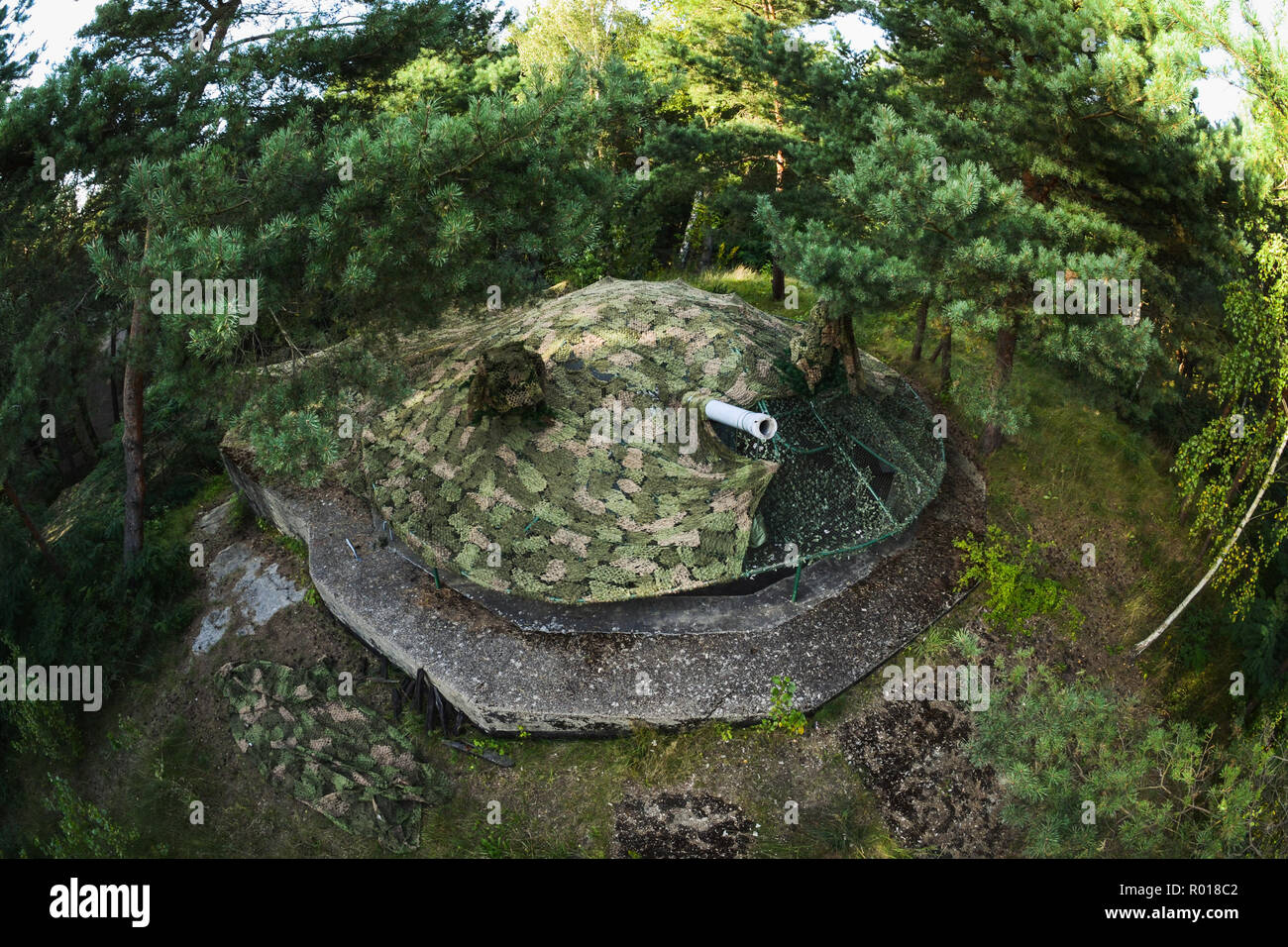 Polish retired coastal gun under summer camouflage. Museum of Coastal Defence in Hel, Poland. Stock Photo