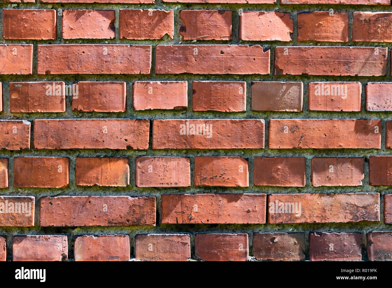 Old brick wall Stock Photo