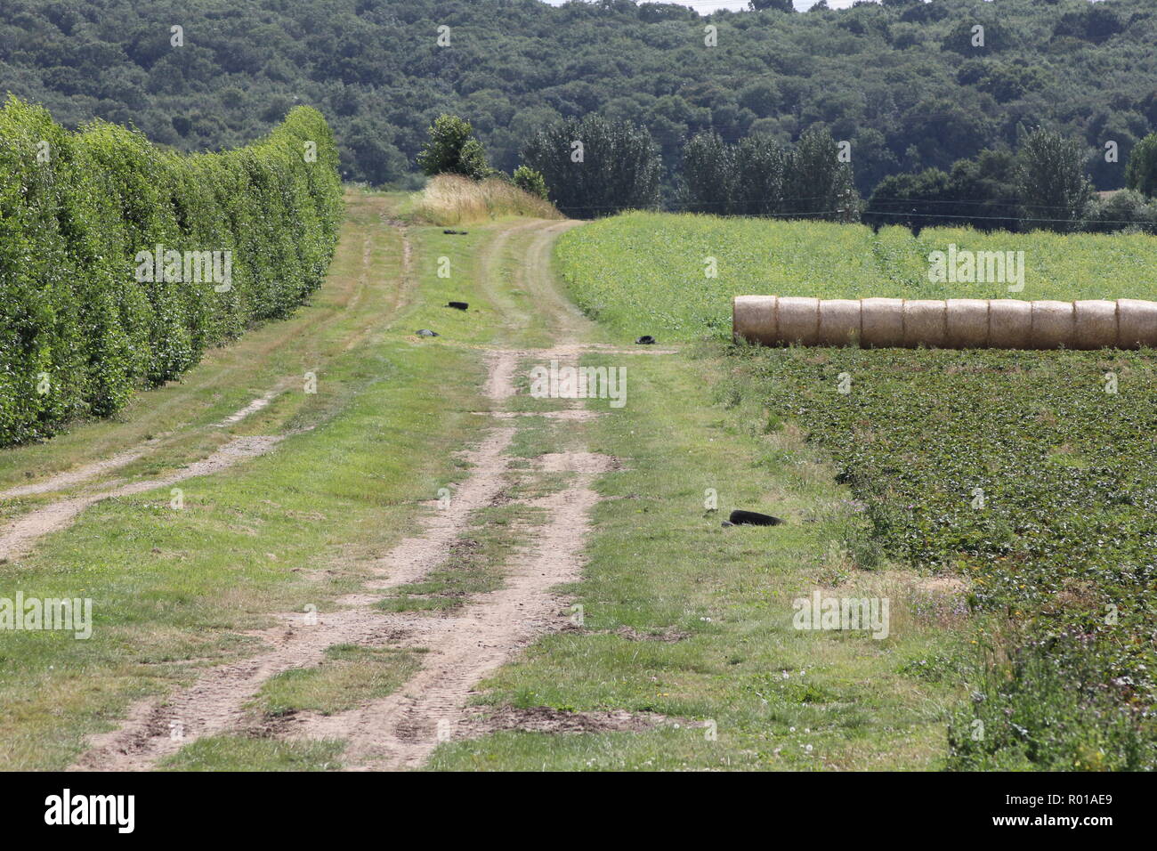 Cooling , Kent Stock Photo Alamy