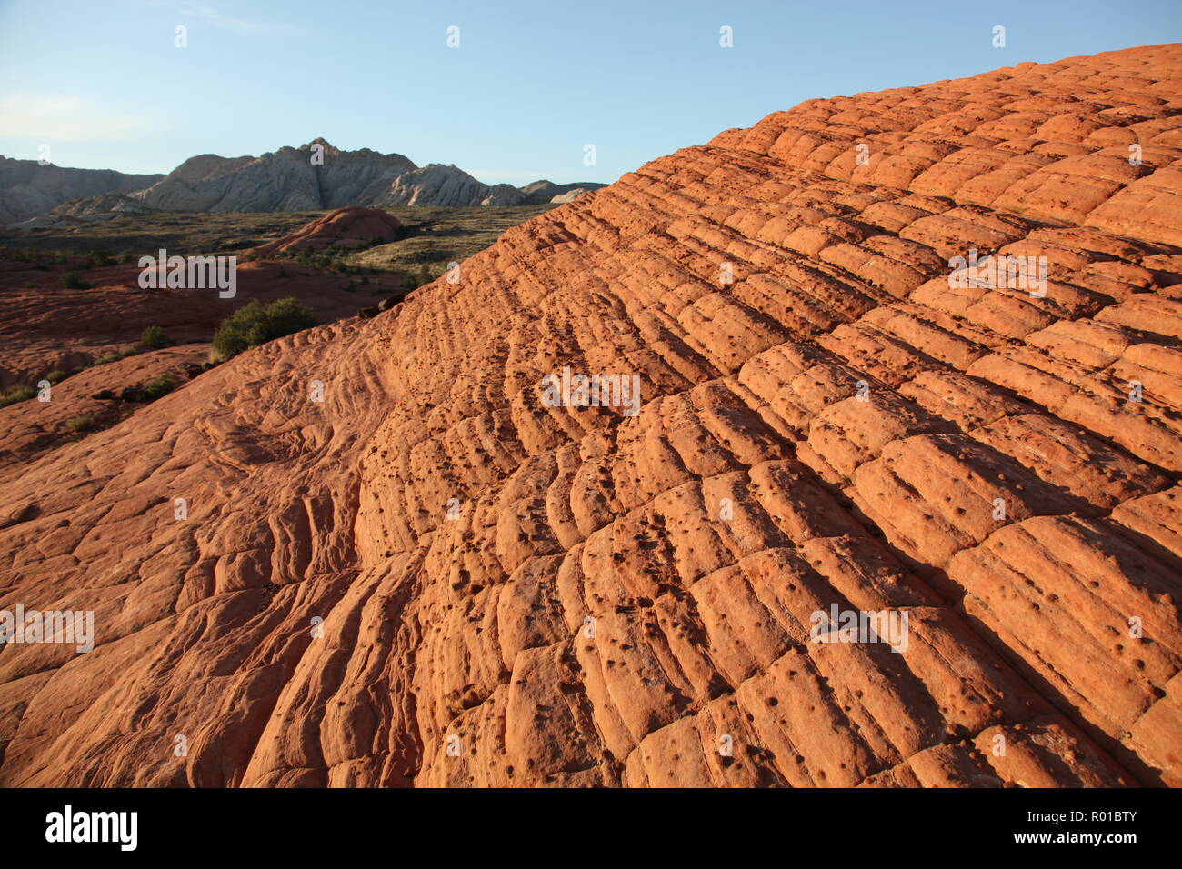 Textured red petrified sand dunes of Snow Canyon State Park in Utah Stock Photo