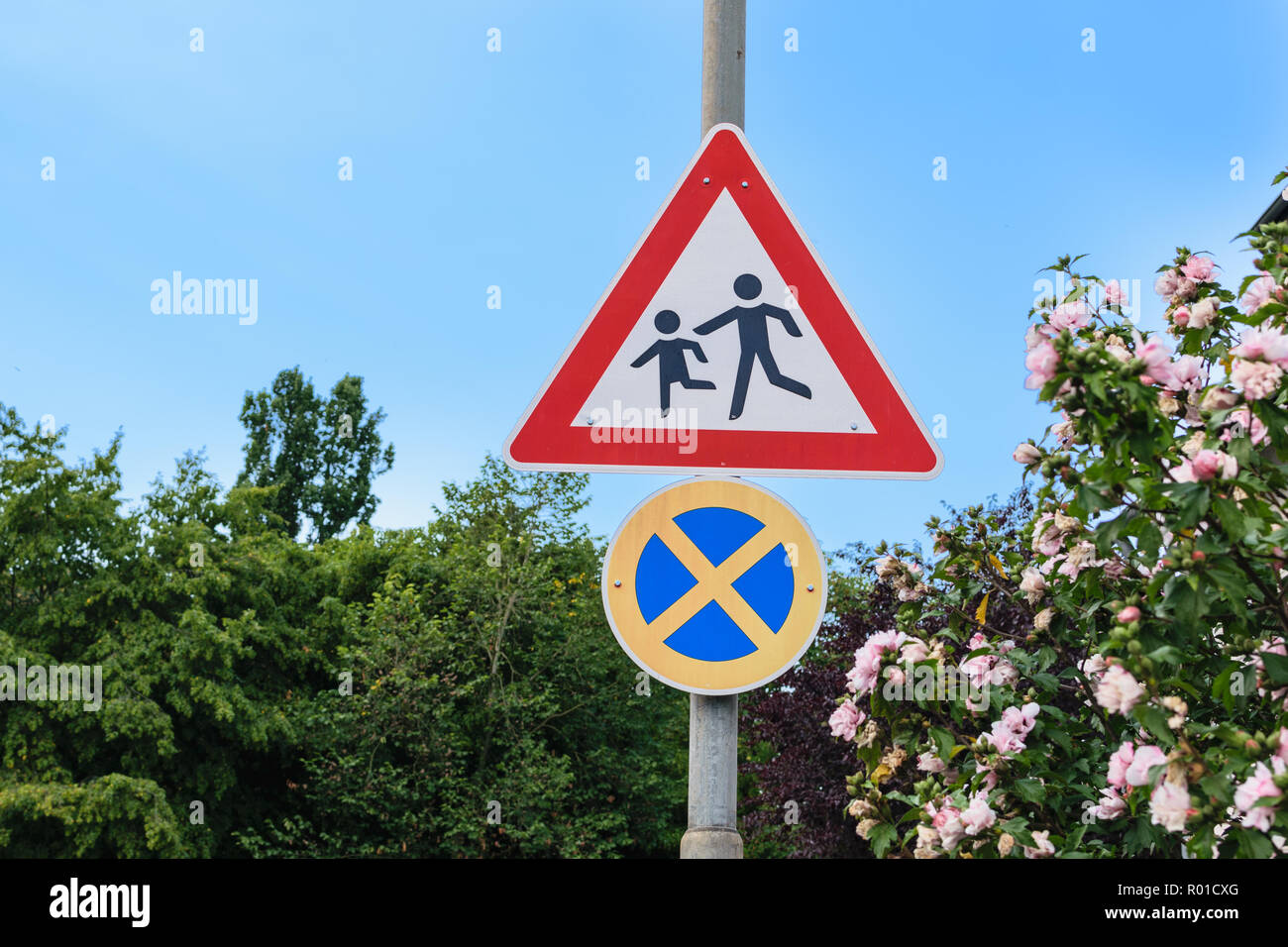 School and no parking road sign Stock Photo