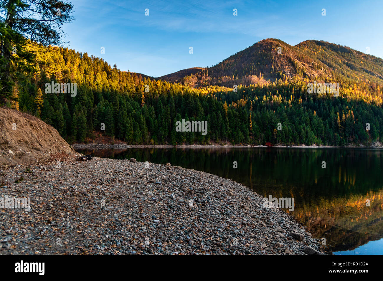 Sullivan Lake in the Colville National - Sullivan Lake In The Colville National Forest Washington State Usa R01D2A 