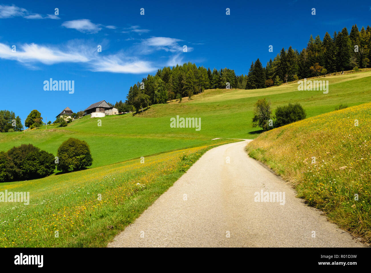 Beautiful landscape in a hiking trail in Austria Stock Photo