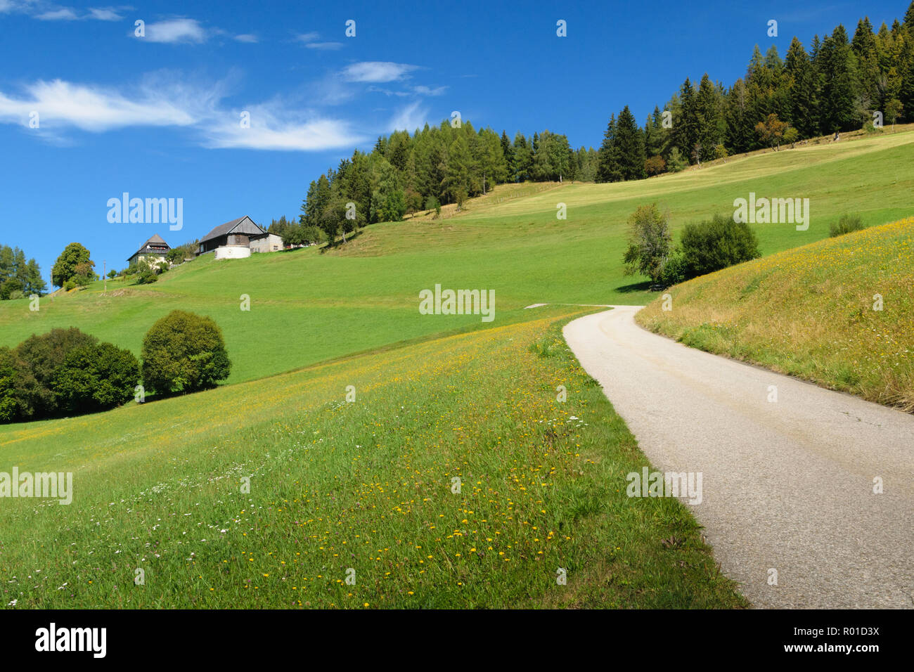 Beautiful landscape in a hiking trail in Austria Stock Photo