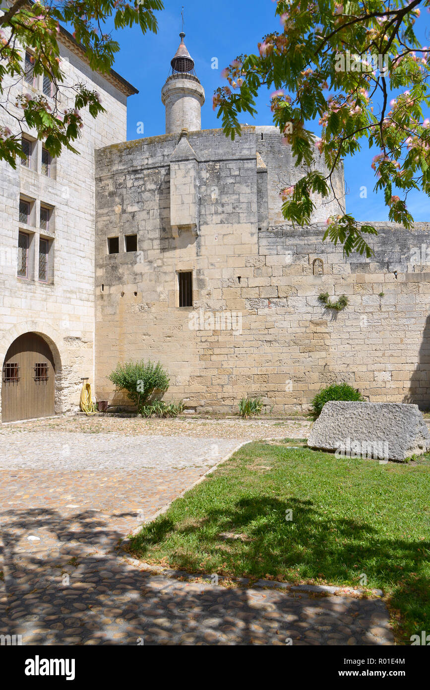 Fortification and tower of Constance of Aigues Mortes and an albizia tree in bloom, French city walls in the Gard department in France Stock Photo