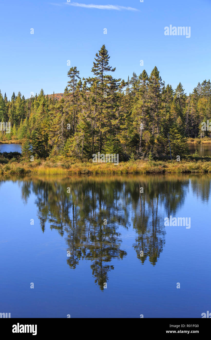 Water reflection of the trees in the lake, Lac Dix Miles, Mont