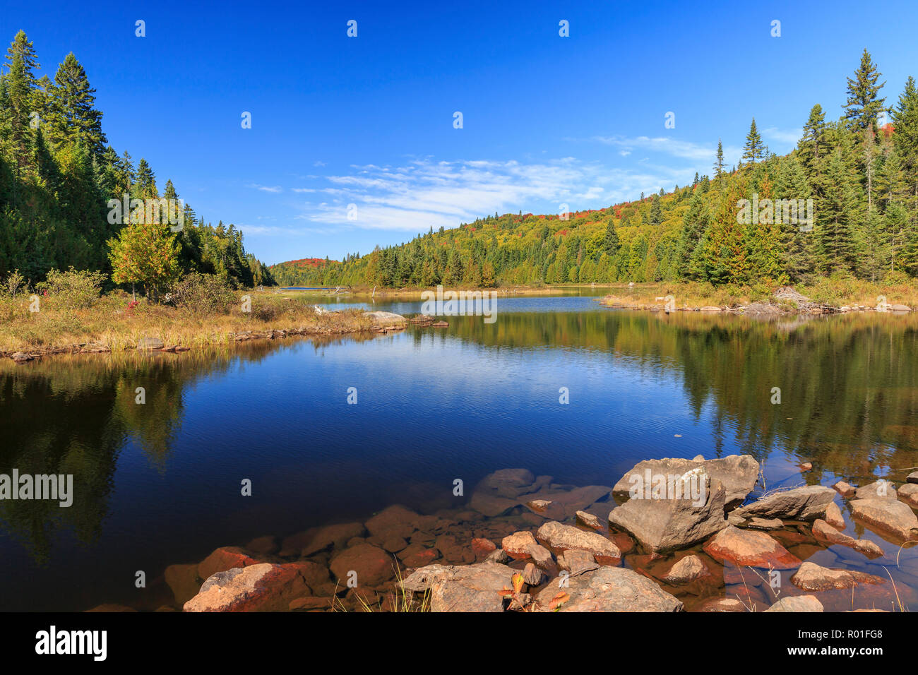 Lac Rossi, water reflection, Mont Tremblant National Park, Québec Province, Canada Stock Photo