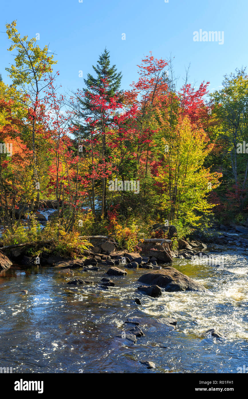 Rapids on the River Rivière du Diable in Autumn, Autumn Coloration, Mont Tremblant National Park, Québec Province, Canada Stock Photo