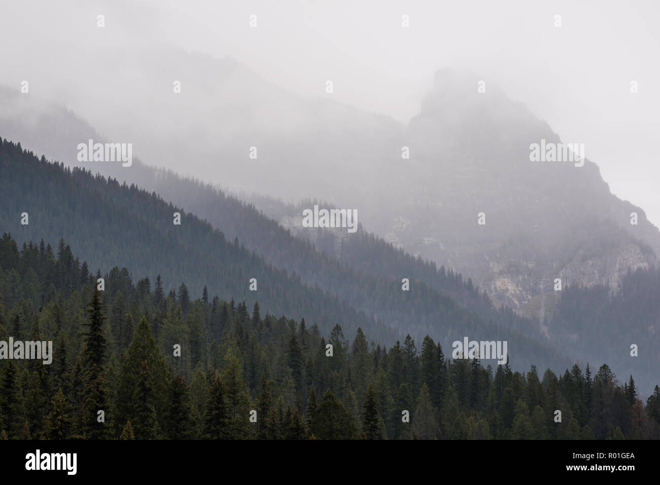 Mount Crook, Kootenay NP, British Columbia, Canada, by Bruce Montagne/Dembinsky Photo Assoc Stock Photo