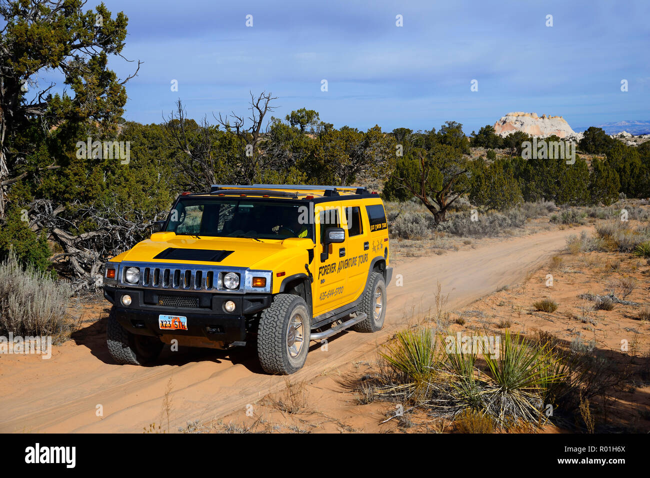 Yellow Hummer driving on a sand track to White Pocket Canyon, Kanab, Utah, USA Stock Photo