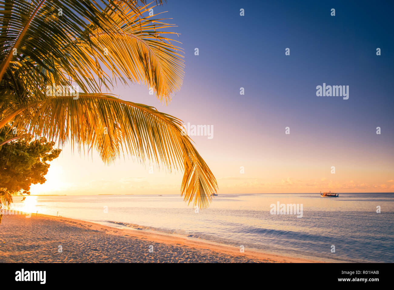 Beautiful sunset on the beach, palm leaves and calm sea view. Tranquil exotic landscape. Tropical beach background concept Stock Photo