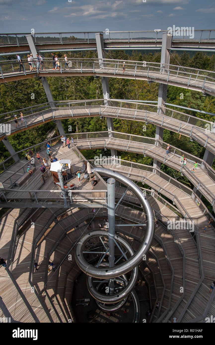 Treetop trail on Mt Sommerberg, Bad Wildbad, Black Forest, Baden-Württemberg, Germany Stock Photo