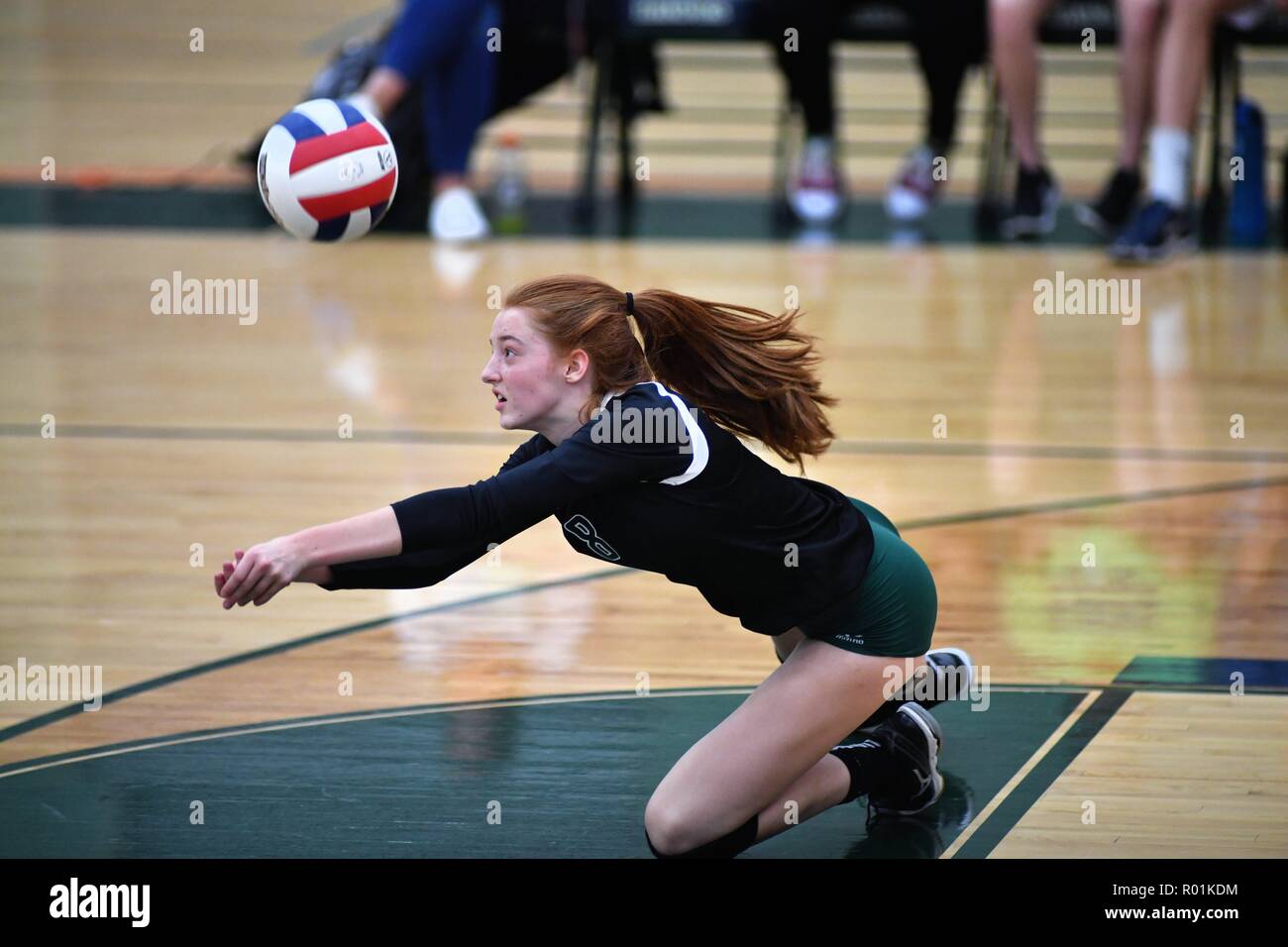 Player diving to the floor to dig an opponent's kill shot attempt. USA. Stock Photo