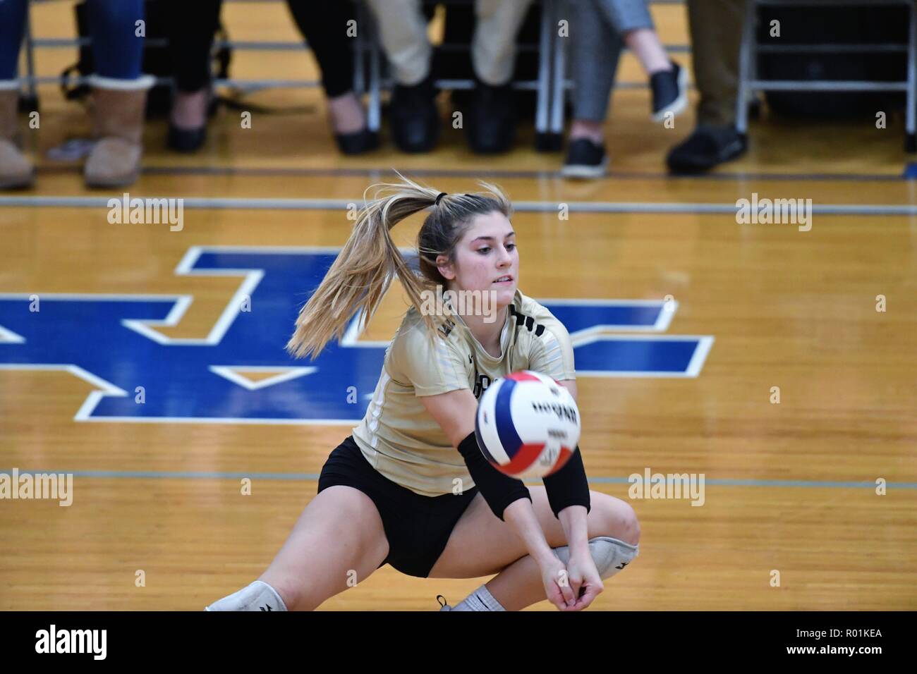 volleyball dig