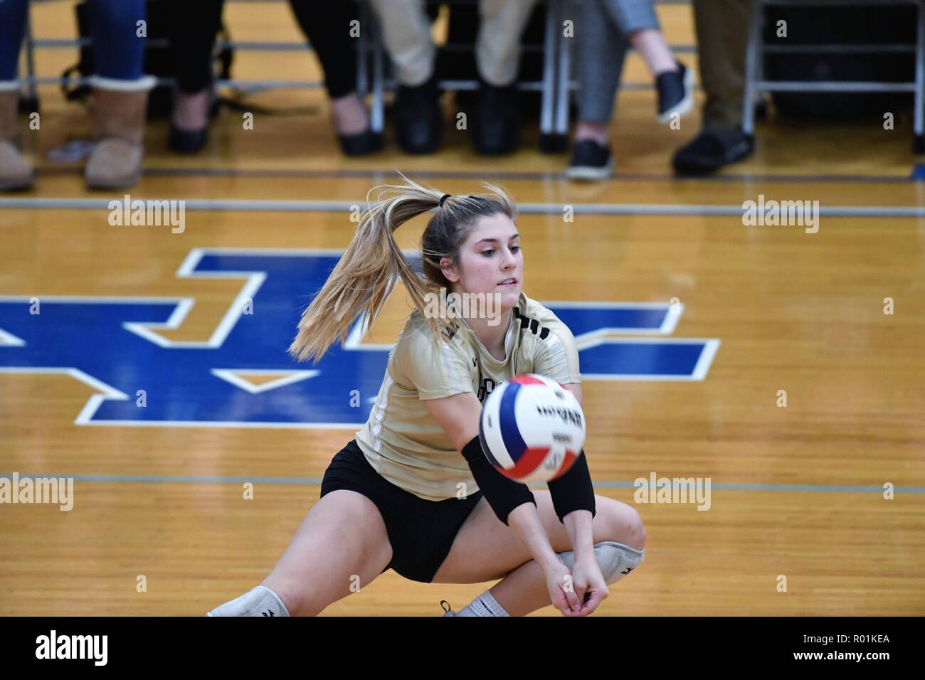 Player going low to the floor to dig an Opponent's shot and keep a volley alive. USA Stock Photo