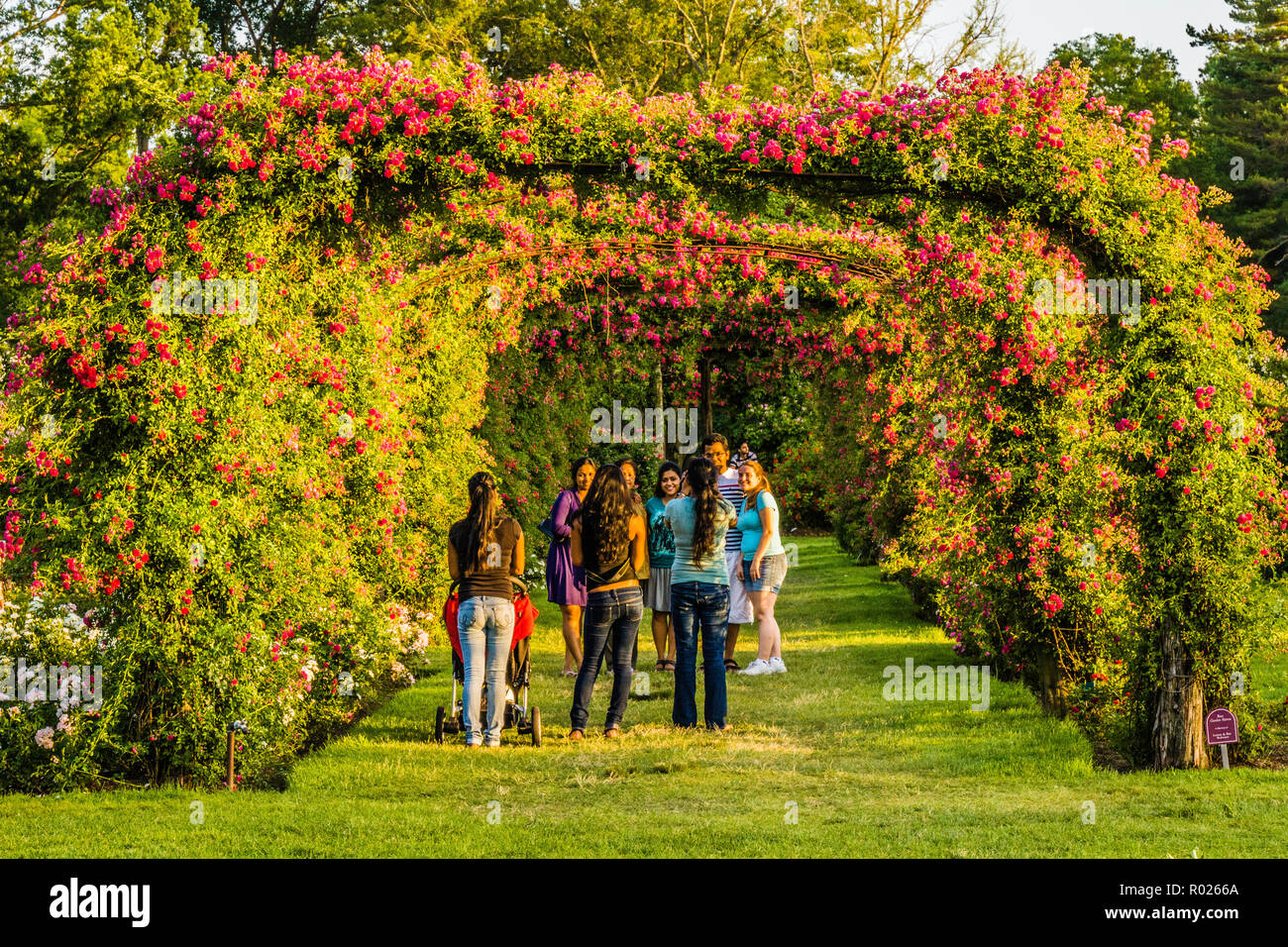 Elizabeth Park Hartford, Connecticut, USA Stock Photo Alamy