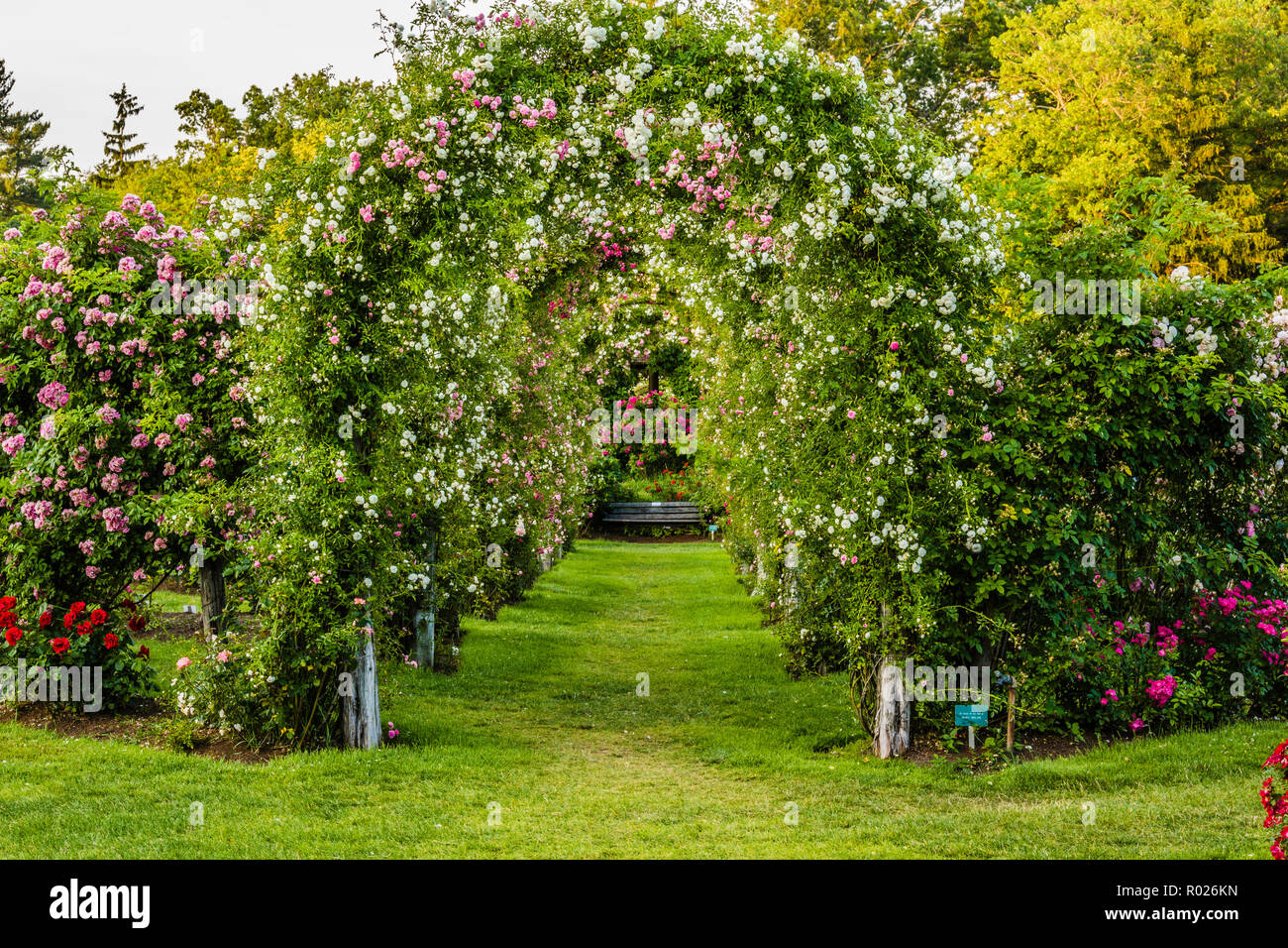 Elizabeth Park Hartford, Connecticut, USA Stock Photo - Alamy