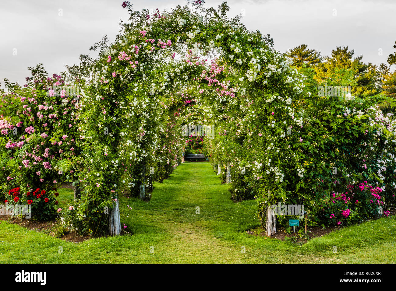 Elizabeth Park Hartford, Connecticut, USA Stock Photo Alamy
