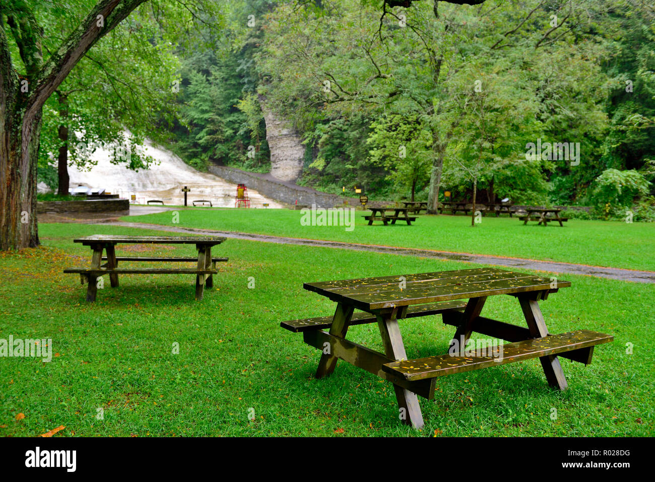 Public park with picnic tables amongst trees by Buttermilk Falls in Buttermilk State Park near Ithaca NY, USA Stock Photo