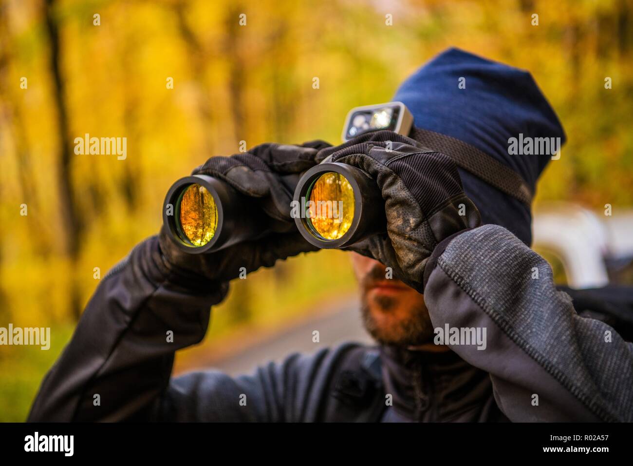 Caucasian Men Spotting Wildlife in the Wilderness. Fall Time Foliage in a Background. Stock Photo