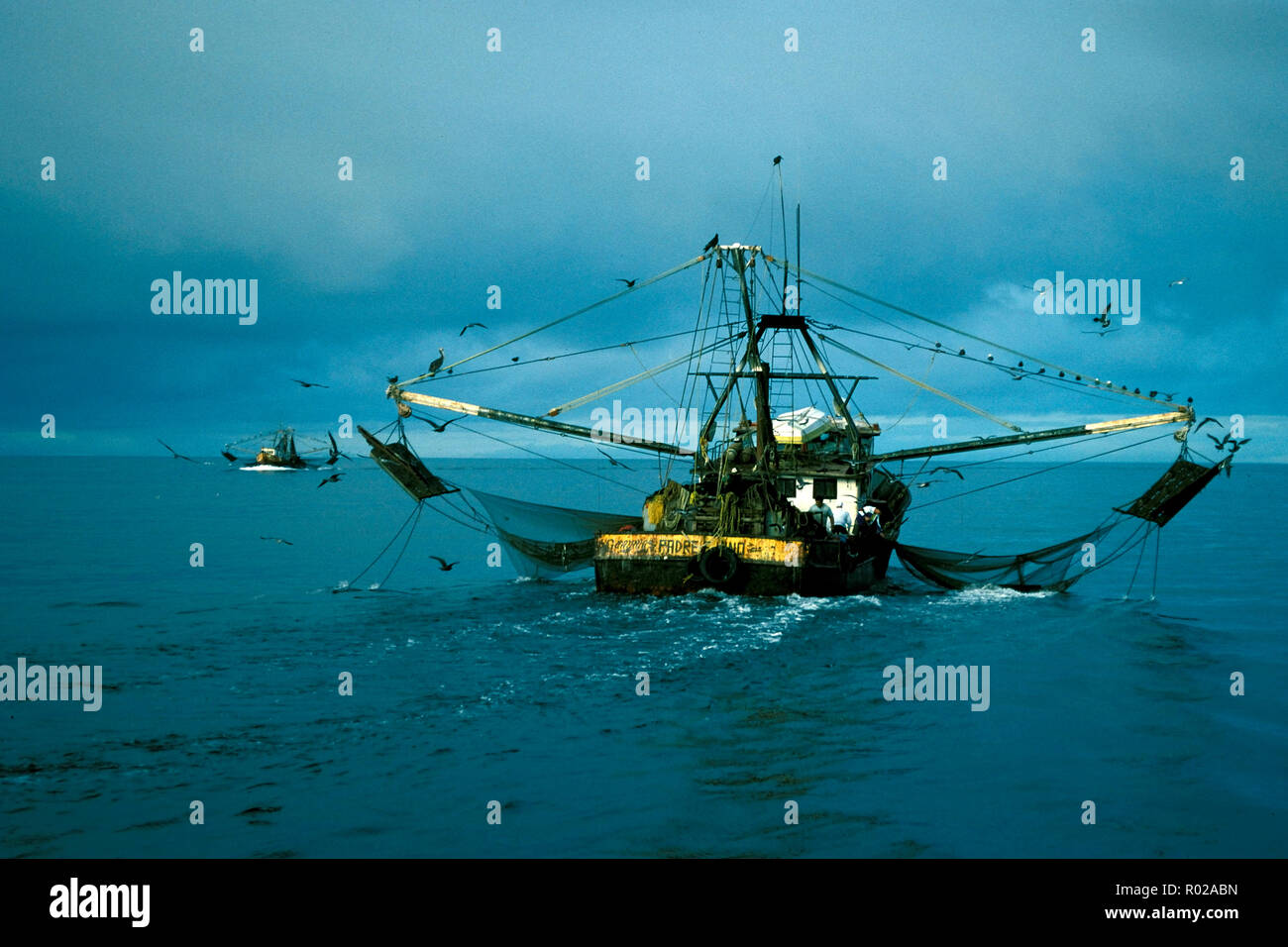 The destructive otter trawl nets drag the bottom for shrimp. 80-90% of the  non-target animals are thrown back dead as incidental kill, Sea of Cortez  Stock Photo - Alamy