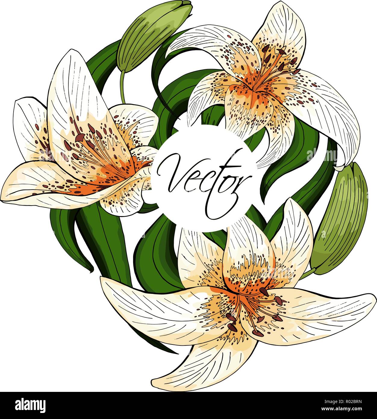 Tiger Lily Vector