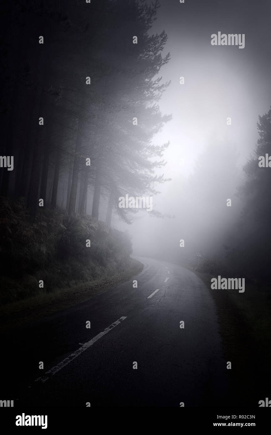 Dark foggy mountain forest road Stock Photo - Alamy