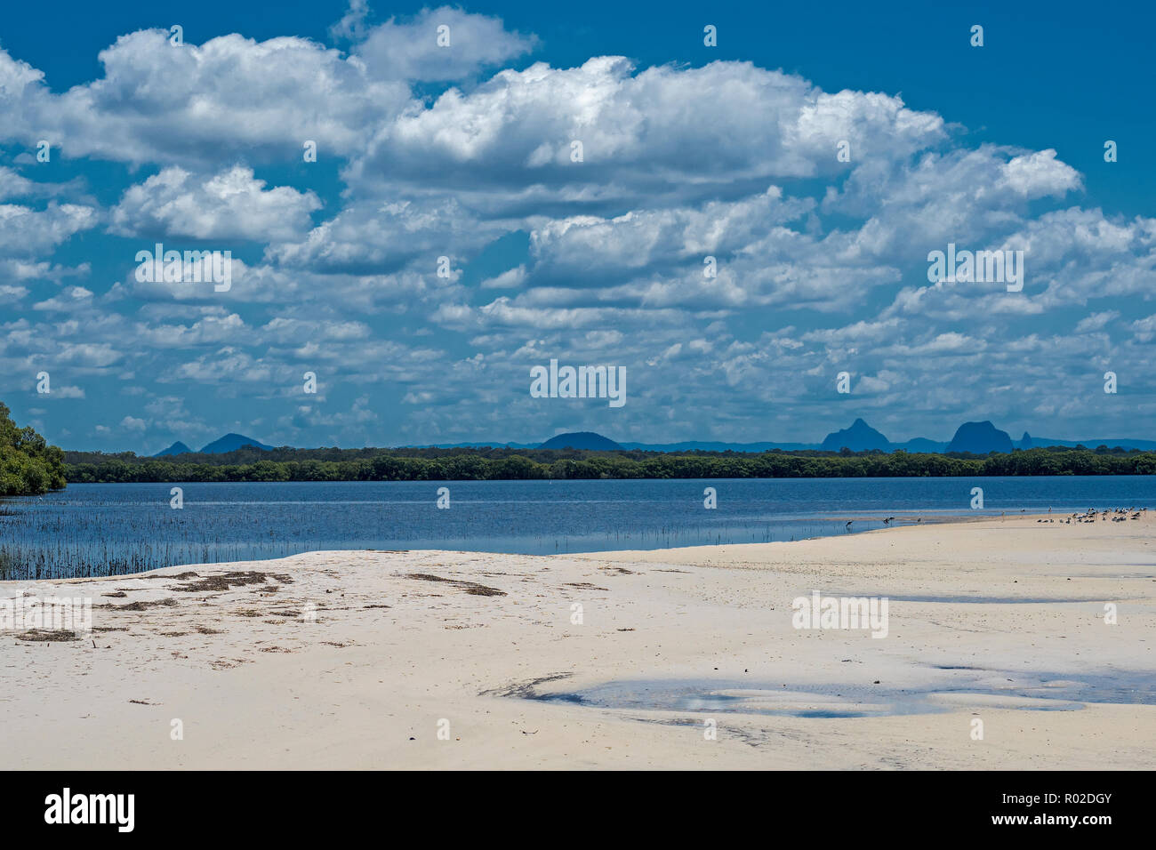 Glass House Mountains from Toorbul.Brisbane australia Stock Photo Alamy