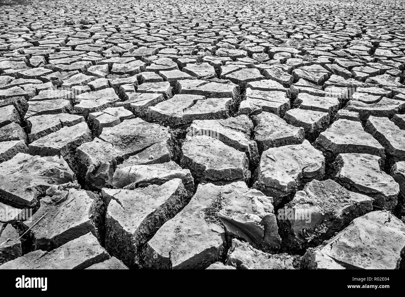 Black and white photos of the ground cracked in the dry season. Stock Photo
