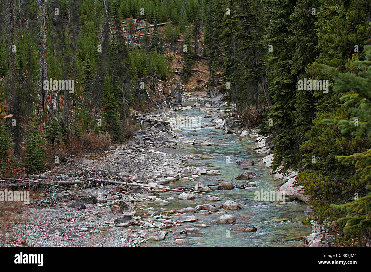 River in Yoho National Park, British Columbia, Canada Stock Photo