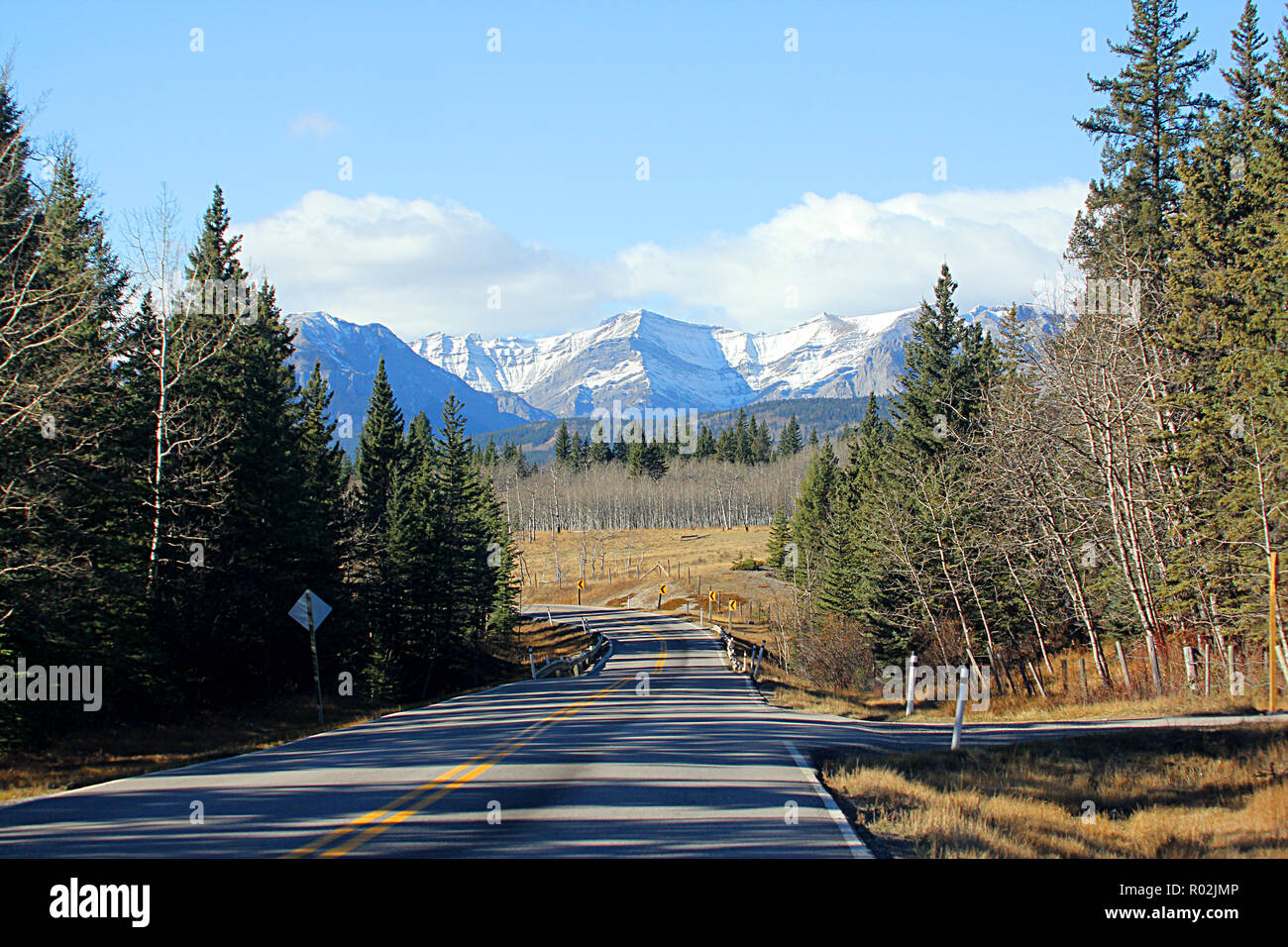 Highway 93 in Yoho National Park, British Columbia,Canada. Stock Photo