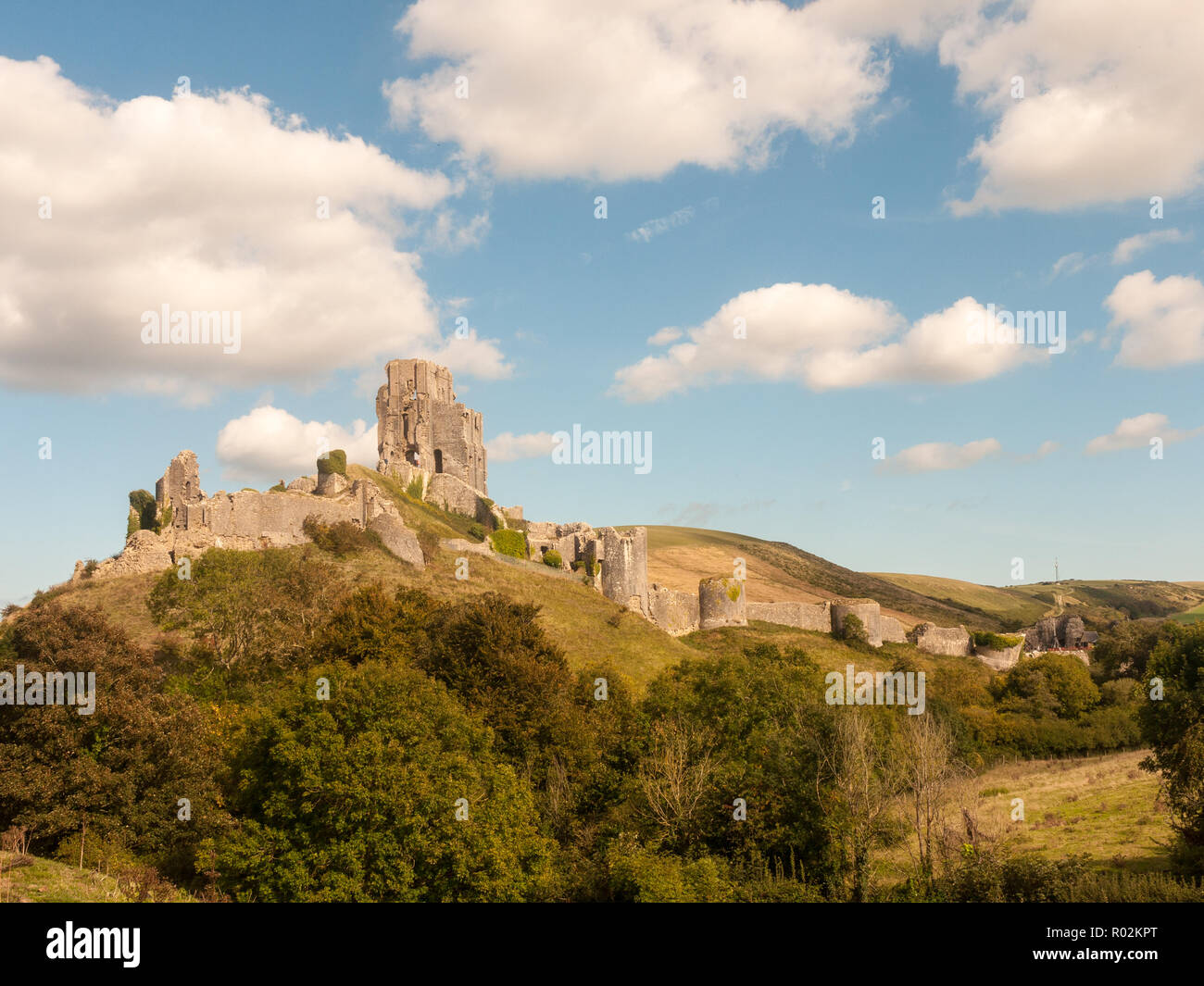 næve Vedhæft til band landscape summer's day corfe castle special ruins medieval old nature trees  sky clouds; Dorset; England; UK Stock Photo - Alamy