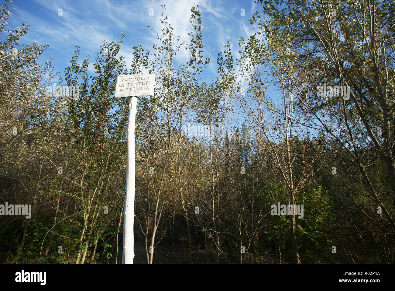 Signal in montalcino forest Truffle hunting reserved Stock Photo Alamy