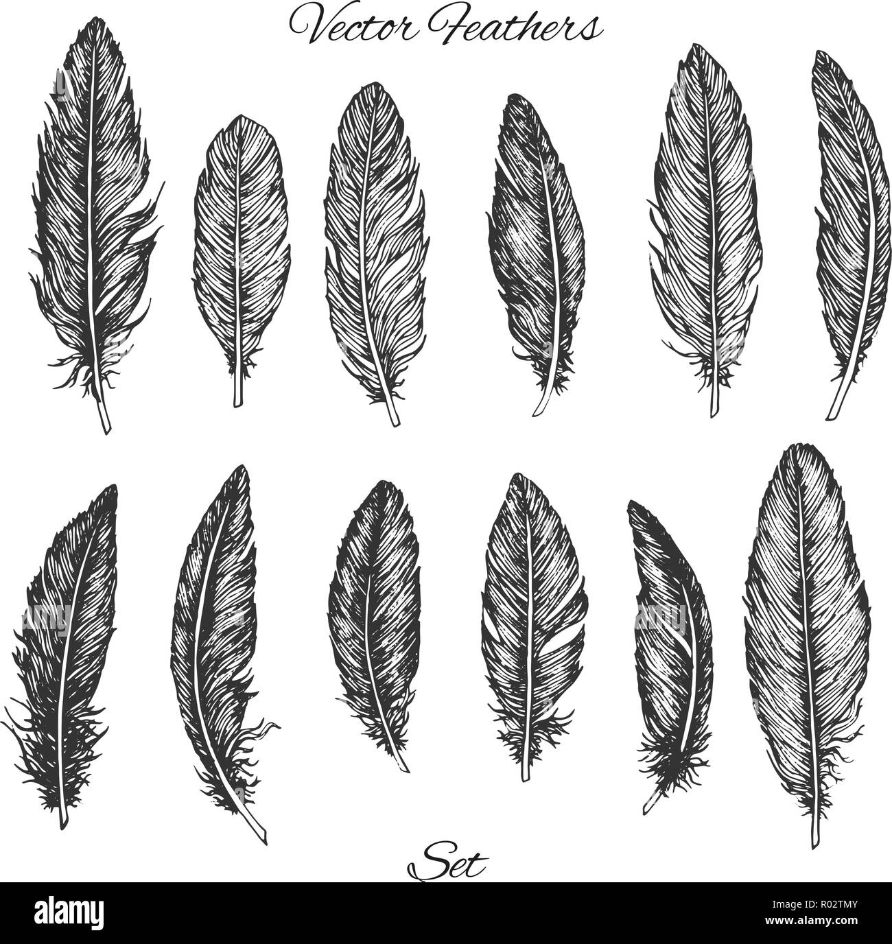 Feathers set vector illustration. Cartoon isolated bright exotic birds  plume collection, curve feathers with colorful abstract patterns from wings  or tail of flying wild animal, different plumages Stock Vector