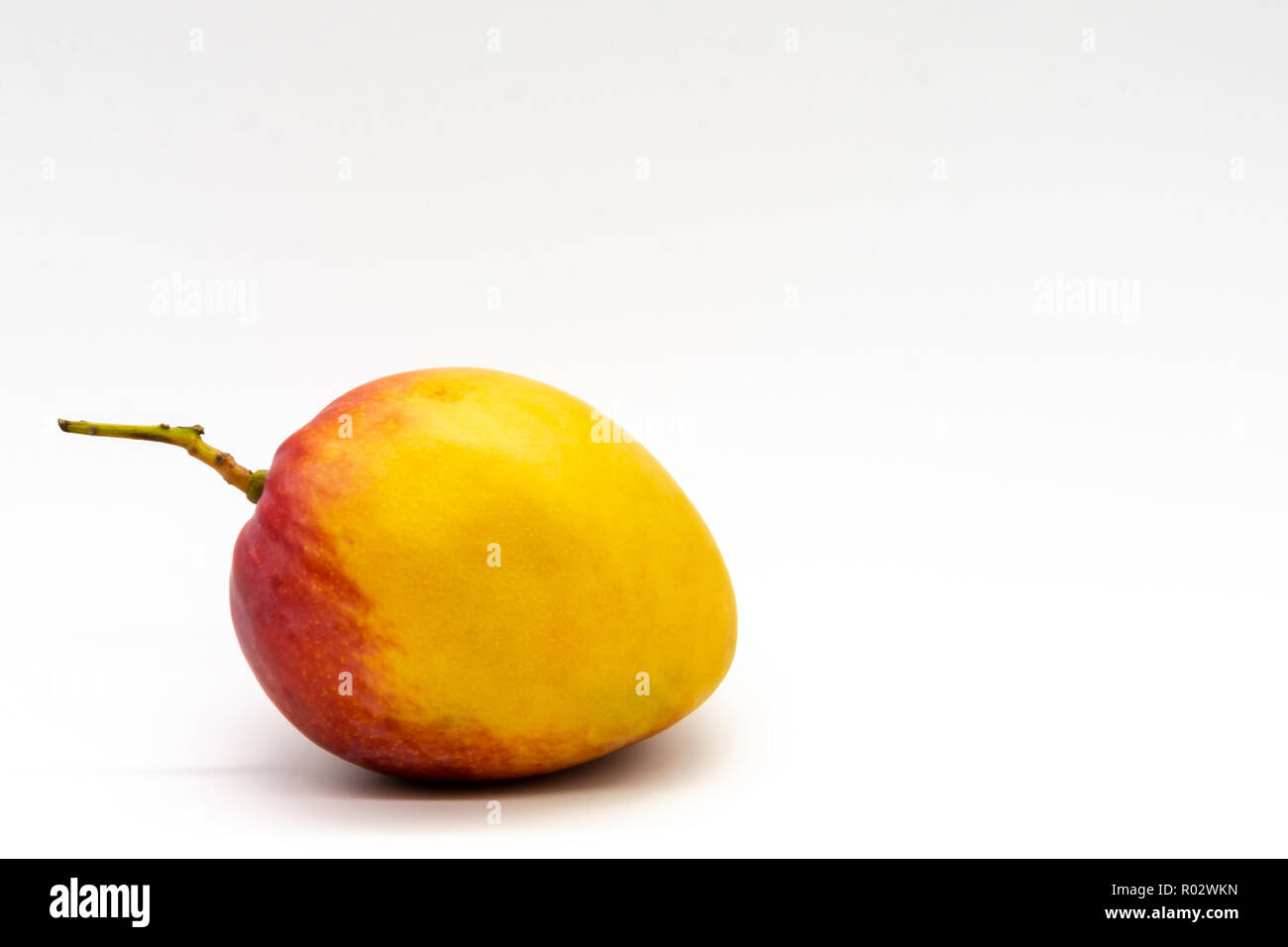 A beautiful isolated red and yellow mango over the leftmost corner of the inferior part of a clean and white background Stock Photo