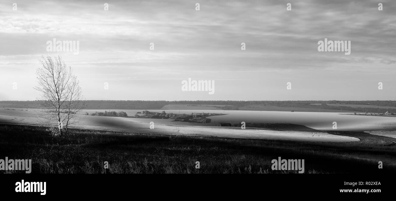 Black and white landscape with tree against sunrise Stock Photo - Alamy