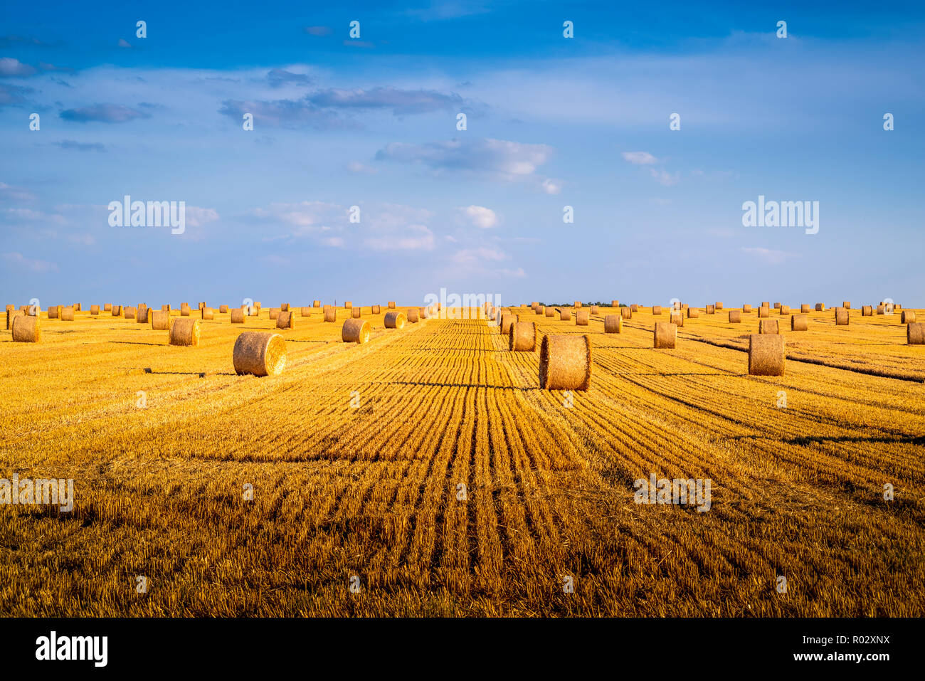 Field with straw bales, summer field, Germany | Feld mit Strohballen, Sommerfeld Stock Photo