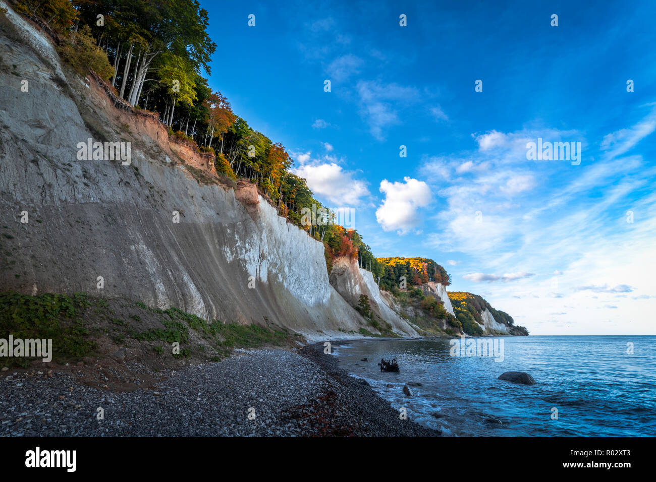 Chalk cliffs in early autumn, island of Rügen, Germany | Kreidefelsen im frühen Herbst, Insel Rügen Stock Photo