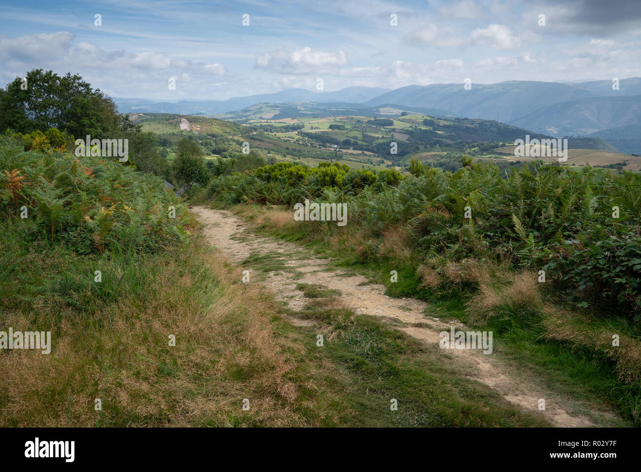 Panoramic landscape along the Camino de Santiago trail between Grandas de Salime and Fonsagrada, Asturias, Spain Stock Photo