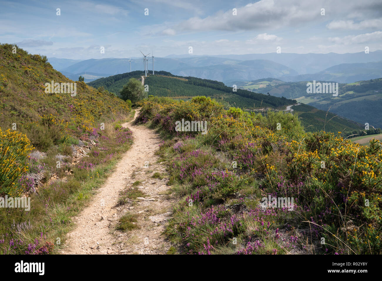 Panoramic landscape along the Camino de Santiago trail between Grandas de Salime and Fonsagrada, Asturias, Spain Stock Photo