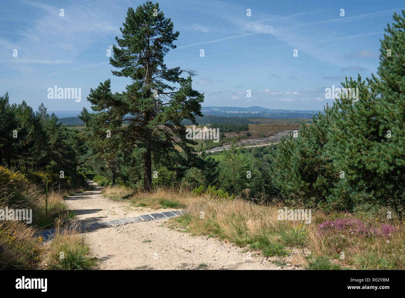 Panoramic landscape along the Camino de Santiago trail between Grandas de Salime and Fonsagrada, Galicia, Spain Stock Photo