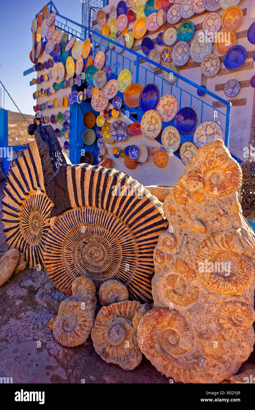 Agadir Ammonite fossils being sold along with pottery at a shop run by workers co-operative at Tamzergourte, north of Agadir, Souss-Massa, Morocco. Stock Photo