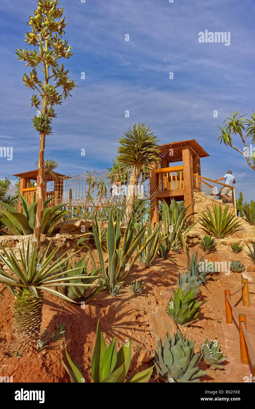 Cactus garden feature and aerial walkway at Croco Park, Agadir, Souss-Massa Province,  Southern Morocco, North West Africa. Stock Photo