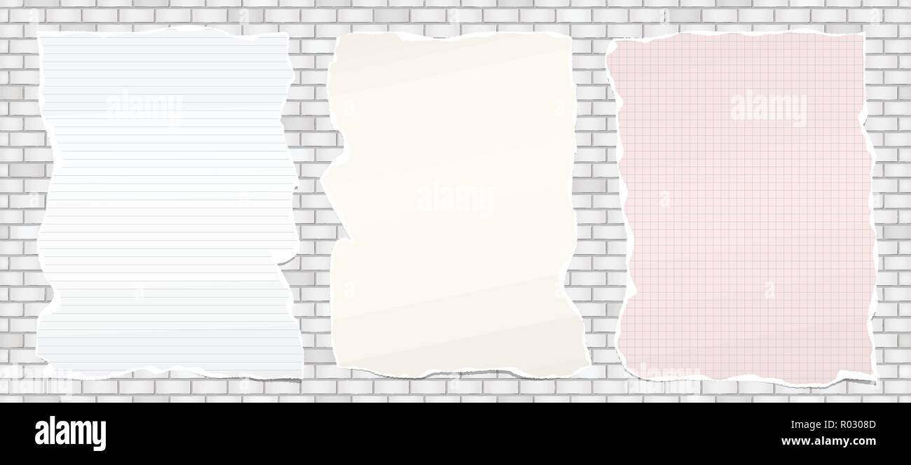 Round Ripped Note Book Background Set of ripped note, notebook paper with torn edges for text or message ...