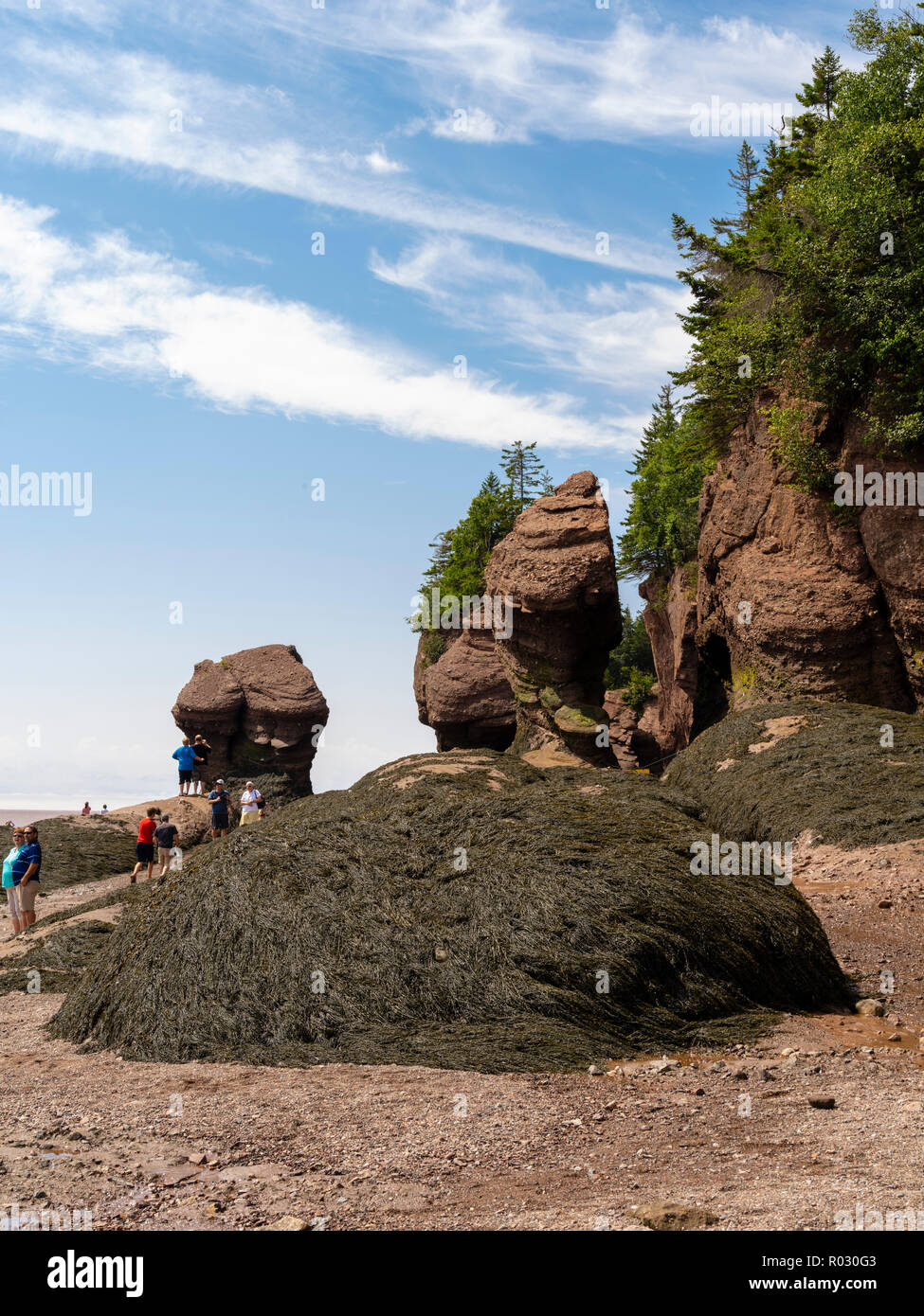 Tourists visit Hopewell Rocks, a provinicial park on the Bay of Fundy ...
