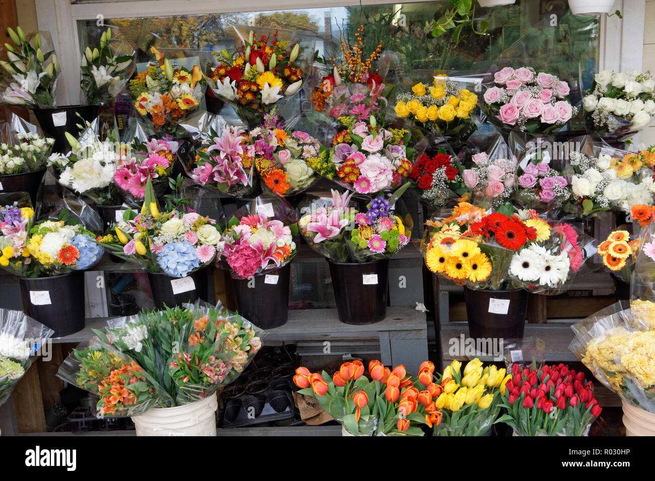 Bunches Of Cut Flowers For Sale Outside A Traditional Corner Grocery Store In Dunbar Vancouver Bc Canada Stock Photo Alamy
