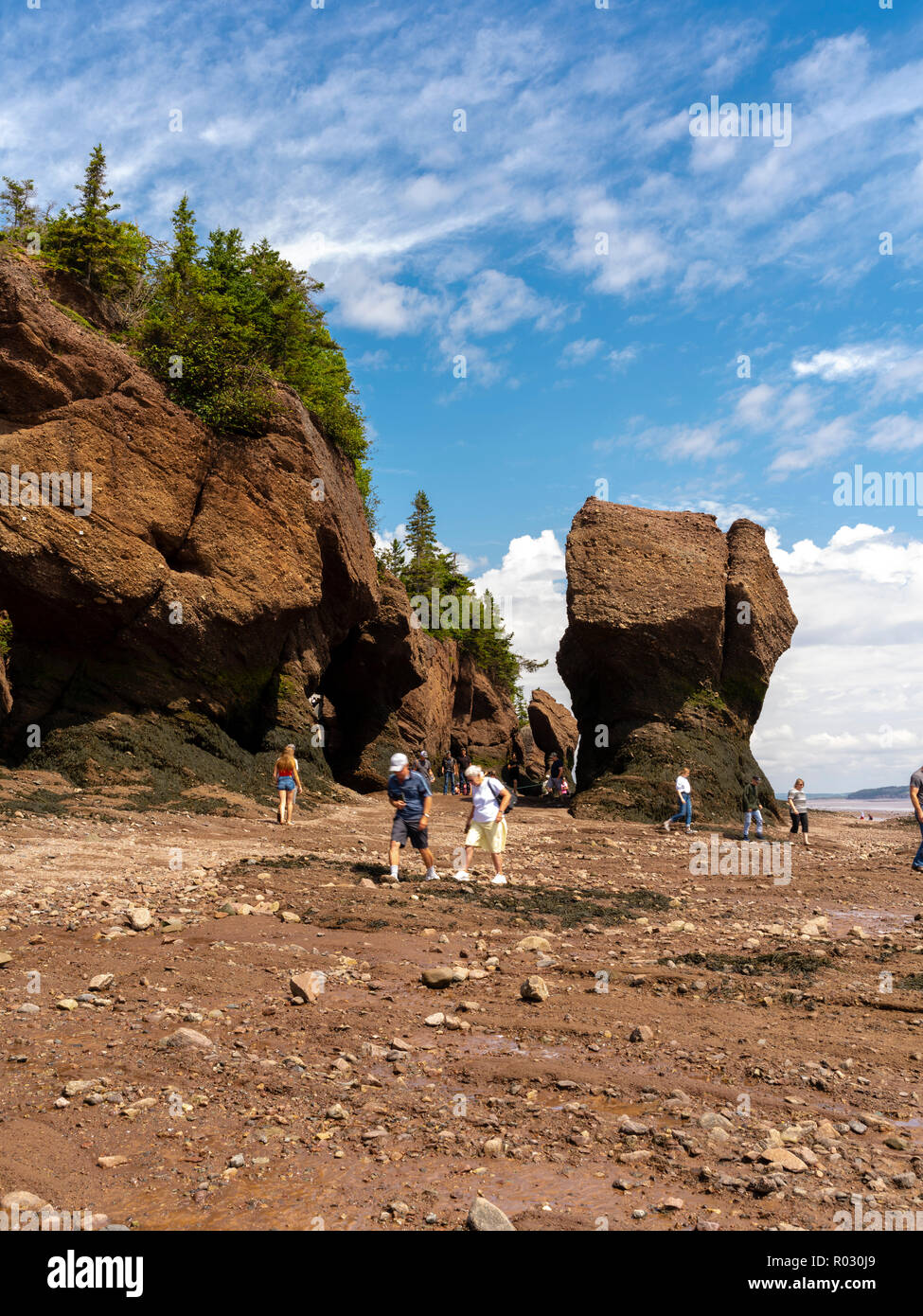 Tourists visit Hopewell Rocks, a provinicial park on the Bay of Fundy ...