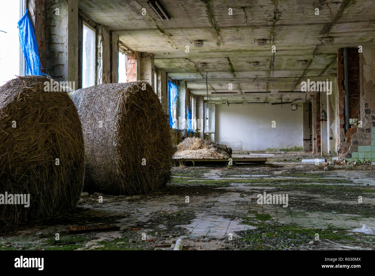 A old, decay, chemical teaching buildung in the czech republic Stock Photo