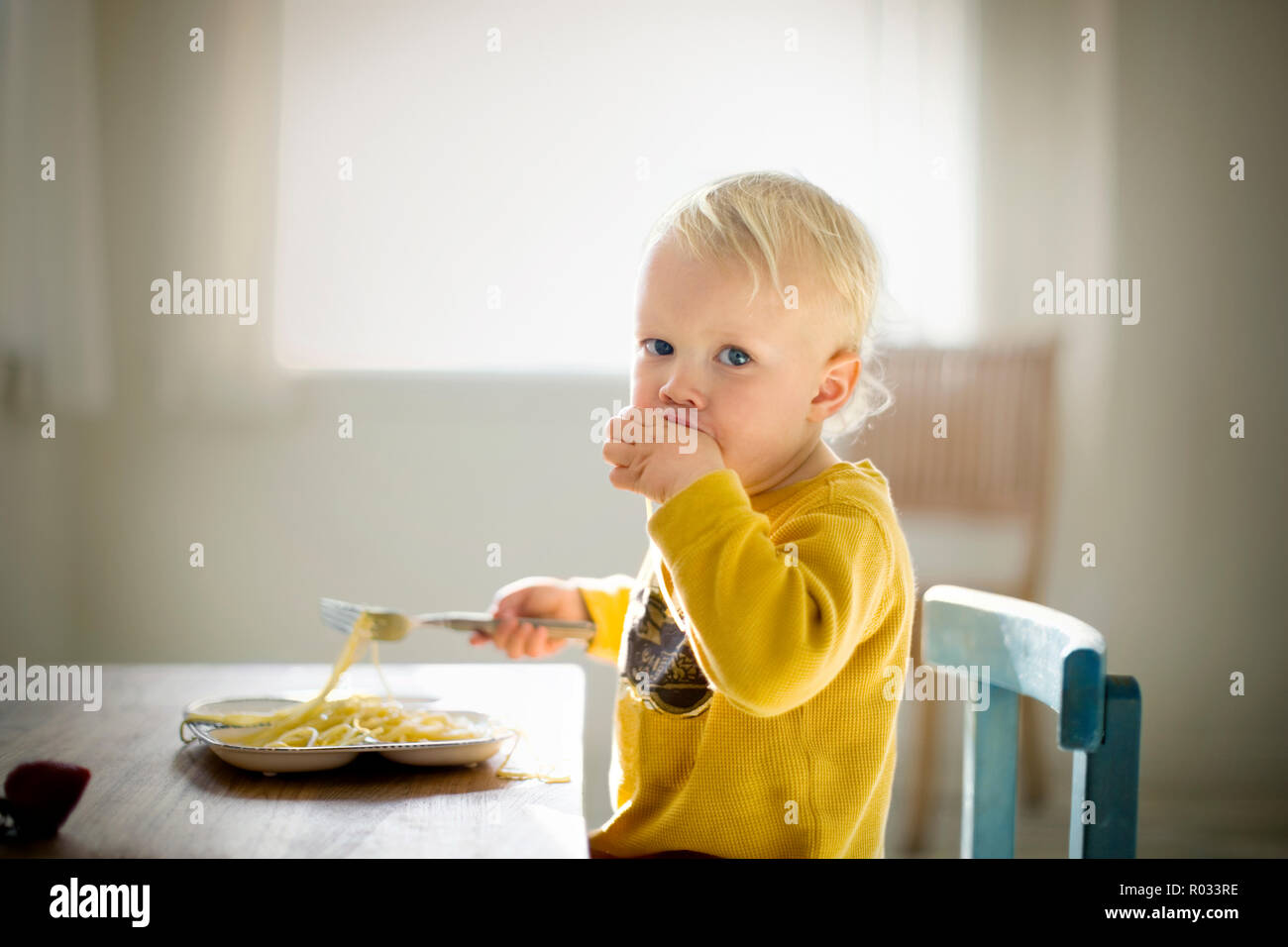 Portrait of a young toddler sitting at a dining table eating a plate of plain spaghetti. Stock Photo