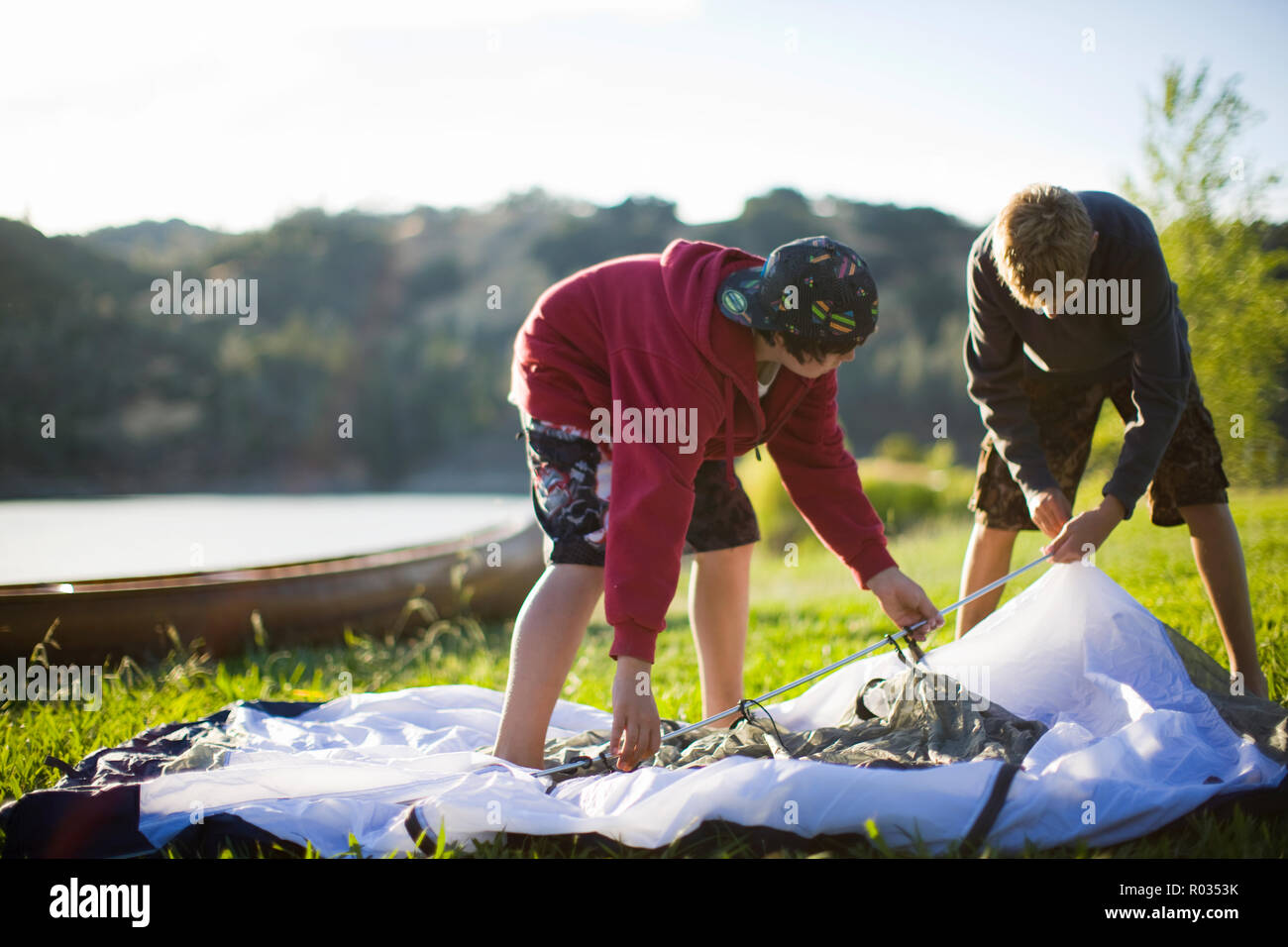 Two boys helping each other to put up a tent Stock Photo Alamy